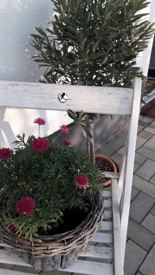 Ferienwohnung Sayntalblick Caan Zewnętrze zdjęcie